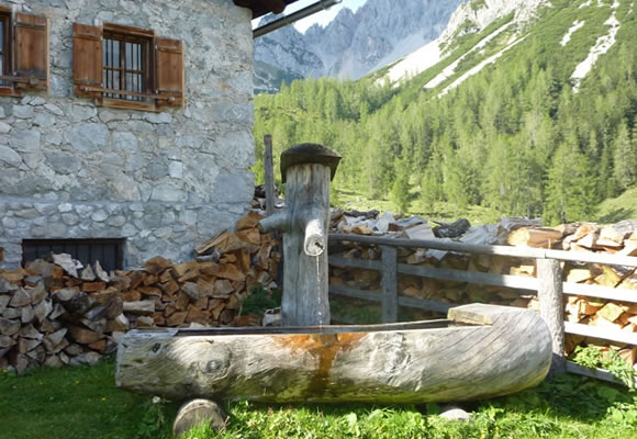 die gemütliche Schaidlalm in Filzmoos